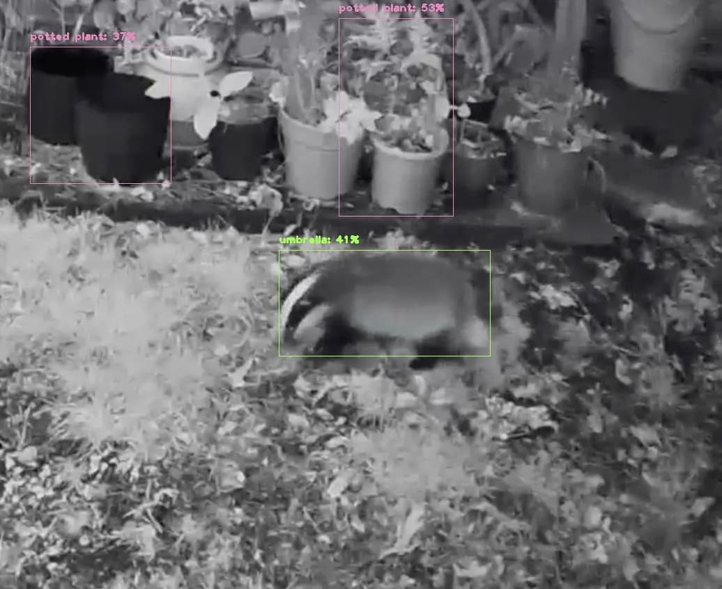 Deterring Foxes and Badgers with TensorFlow Lite, Raspberry Pi and Ultrasonic Deterrents